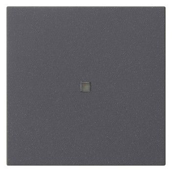GIRA 537128 Wippe 1fach unbedruckt KF System 55 Anthrazit