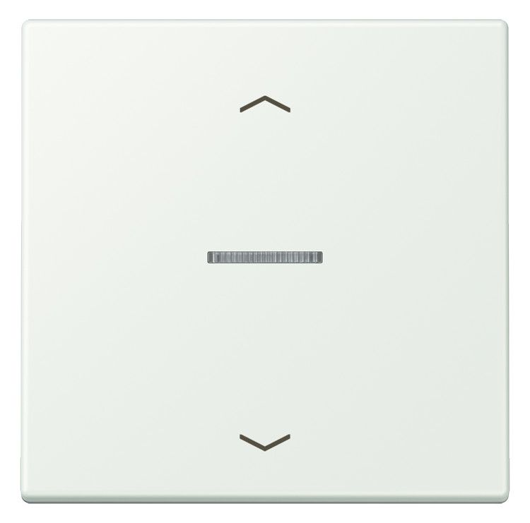 Jung LC101KO5P210 Wippe m.Lichtleiter u. Pfeilsymbolen