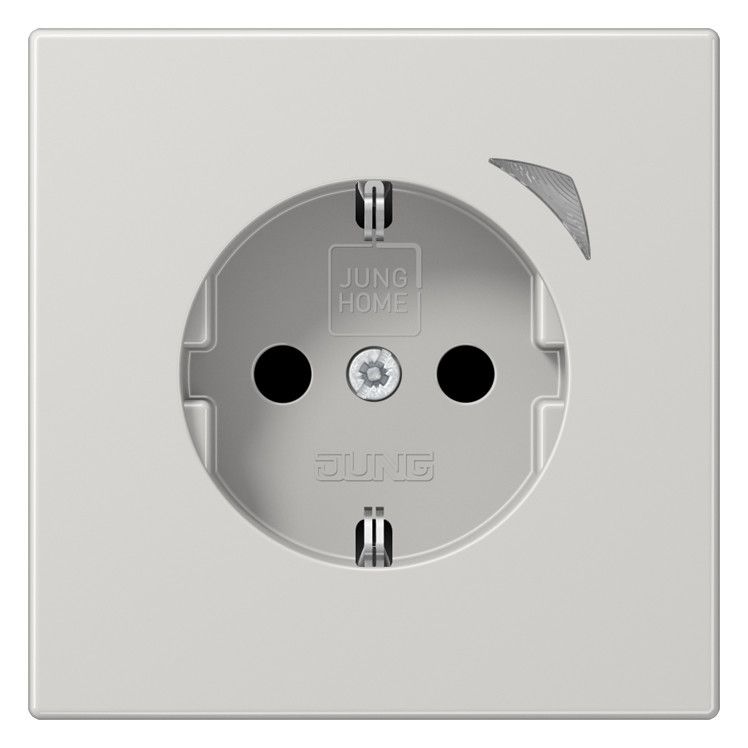 Jung BTLS1521SELG JUNG HOME SCHUKO Steckdose Energy