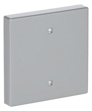 BJ 2570-10-83 Wippe Elektroniktaster