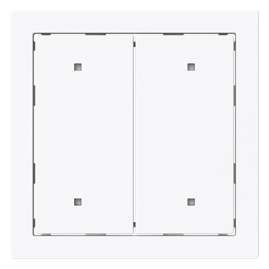 BJ 2570-20-44G Wippe f.Elektroniktaster 2-fach