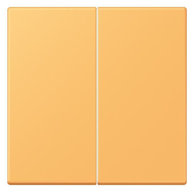 Jung LC995254 Wippe f.Serienschalter LC4320L