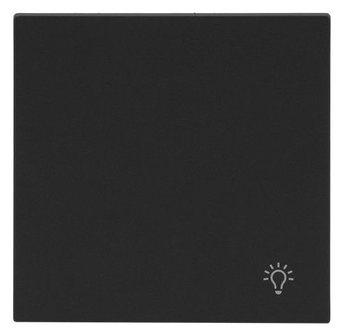 BJ 2520 LI-45M Wippe geschlossen m.Symbol "Licht"