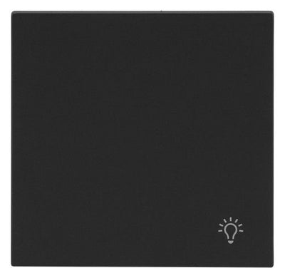 BJ 2520 LI-45M Wippe geschlossen m.Symbol "Licht"