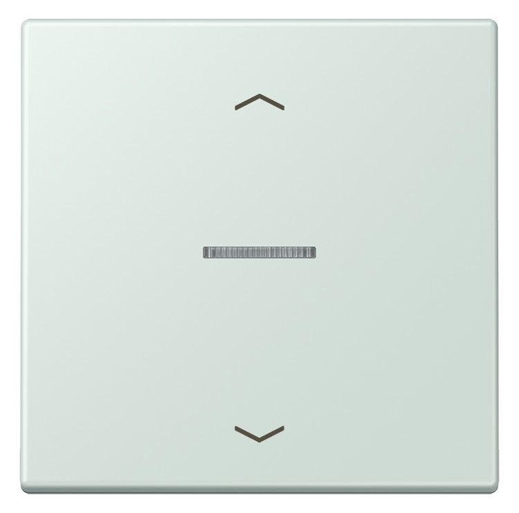Jung LC101KO5P215 Wippe m.Lichtleiter u. Pfeilsymbolen