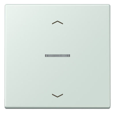 Jung LC101KO5P215 Wippe m.Lichtleiter u. Pfeilsymbolen