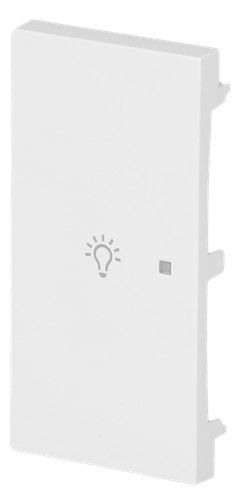 BJ 6231-21-44G Wippe 2-fach links m.Symbol "Licht"