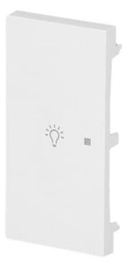 BJ 6231-21-44G Wippe 2-fach links m.Symbol "Licht"