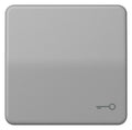 Jung CD590TGR Wippe Symbol Tür grau
