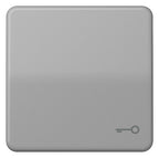Jung CD590TGR Wippe Symbol Tür grau