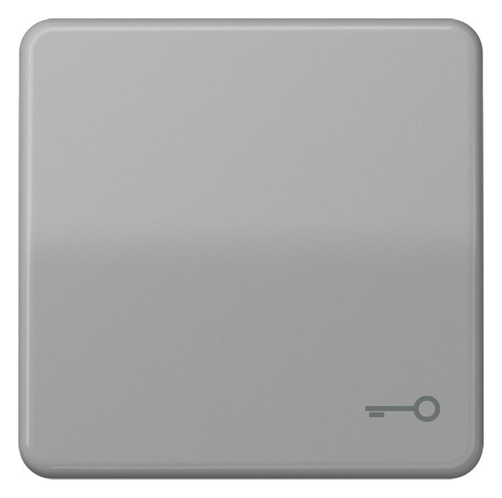 Jung CD590TGR Wippe Symbol Tür grau