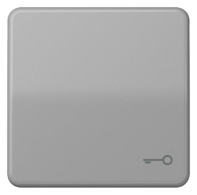 Jung CD590TGR Wippe Symbol Tür grau
