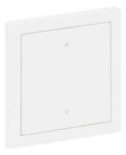 BJ 2570-10-44M Wippe f.Elektroniktaster 1-fach