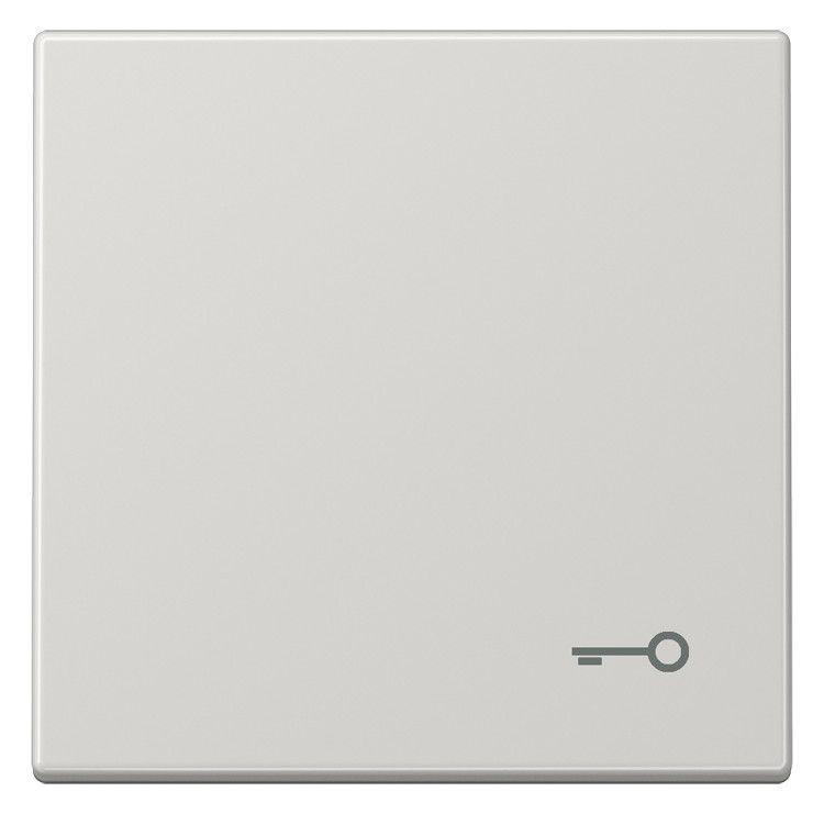 Jung LS990TLG Wippe Symbol Tür lichtgrau