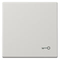 Jung LS990TLG Wippe Symbol Tür lichtgrau