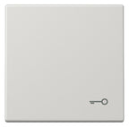 Jung LS990TLG Wippe Symbol Tür lichtgrau