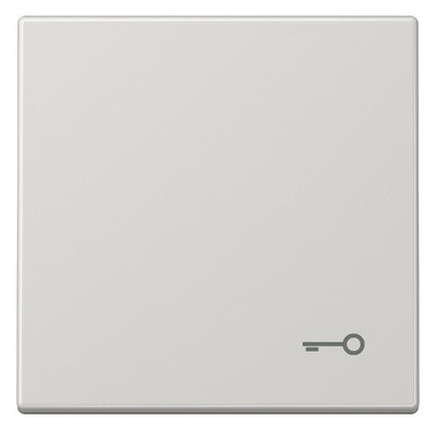 Jung LS990TLG Wippe Symbol Tür lichtgrau