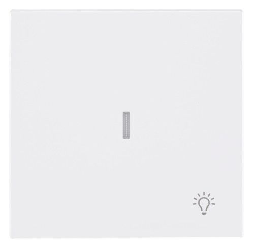 BJ 1789 LI-44G Wippe m.Symbol "Licht" m. transparenter Kalotte