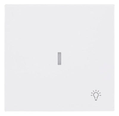 BJ 1789 LI-44G Wippe m.Symbol "Licht" m. transparenter Kalotte