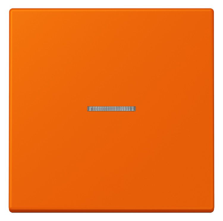 Jung LC990KO5224 Wippe f.Schalter/Taster KO LC32080