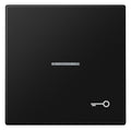 Jung LS 990 KO5 T SWM Wippe 1f m.Lichtleiter Symbol Tür Serie LS gsw