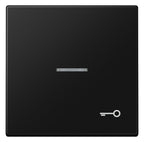 Jung LS 990 KO5 T SWM Wippe 1f m.Lichtleiter Symbol Tür Serie LS gsw