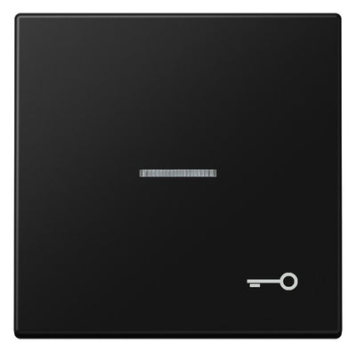 Jung LS 990 KO5 T SWM Wippe 1f m.Lichtleiter Symbol Tür Serie LS gsw