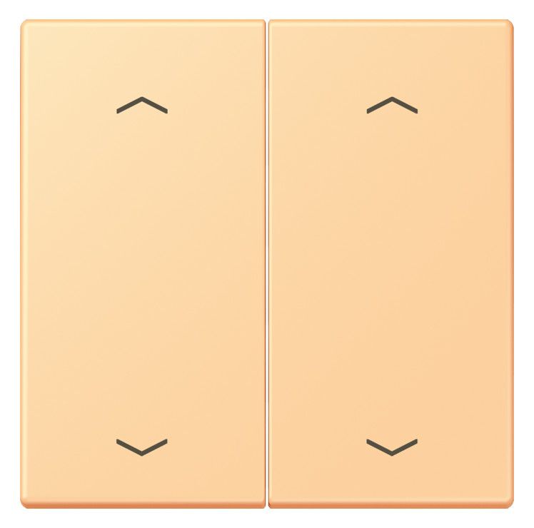 Jung LC102P258 Wippe m.Pfeilsymbolen f.KNX Taster 2