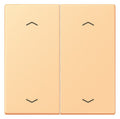 Jung LC102P258 Wippe m.Pfeilsymbolen f.KNX Taster 2