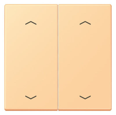 Jung LC102P258 Wippe m.Pfeilsymbolen f.KNX Taster 2