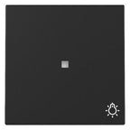 GIRA 3674005 Wippe Kontrollfenster+Symb. Licht System 55 Schwarz matt (lackiert)