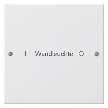 GIRA 220127 Wippenset 1fach beschreibbar System 55 Reinweiß seidenmatt (lackiert)
