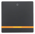 Berker 16246086 Wippe m.Linse orange+ Aufdruck 0 Q.1/Q.3 anthrazit samt