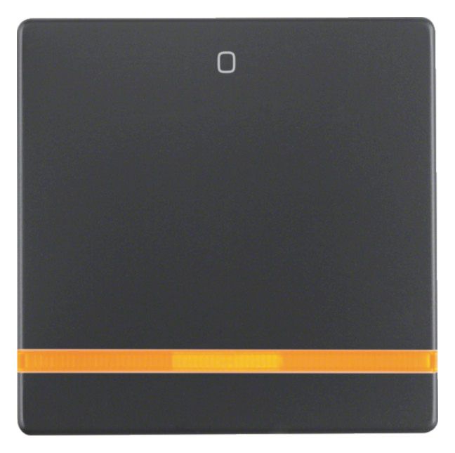 Berker 16246086 Wippe m.Linse orange+ Aufdruck 0 Q.1/Q.3 anthrazit samt