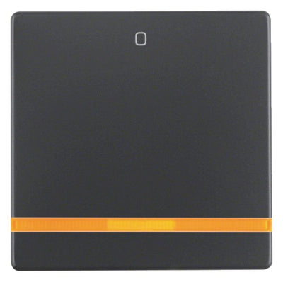 Berker 16246086 Wippe m.Linse orange+ Aufdruck 0 Q.1/Q.3 anthrazit samt