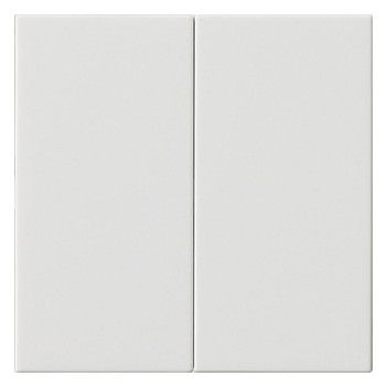 GIRA 537003 Wippe 2fach unbedruckt System 55 Reinweiß glänzend