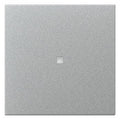 GIRA 349026 Wippe gerade Kontrollfenster System 55 Farbe Alu