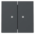 GIRA 363128 Wippe 2fach Kontrollfenster System 55 Anthrazit