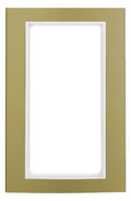 Berker 13093046 Rahmen m.großem Ausschnitt B.3 Alu gold/polarweiß
