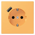 Jung LC1520-18A254 SCHUKO-Steckd.m.USB Typ A LC4320L