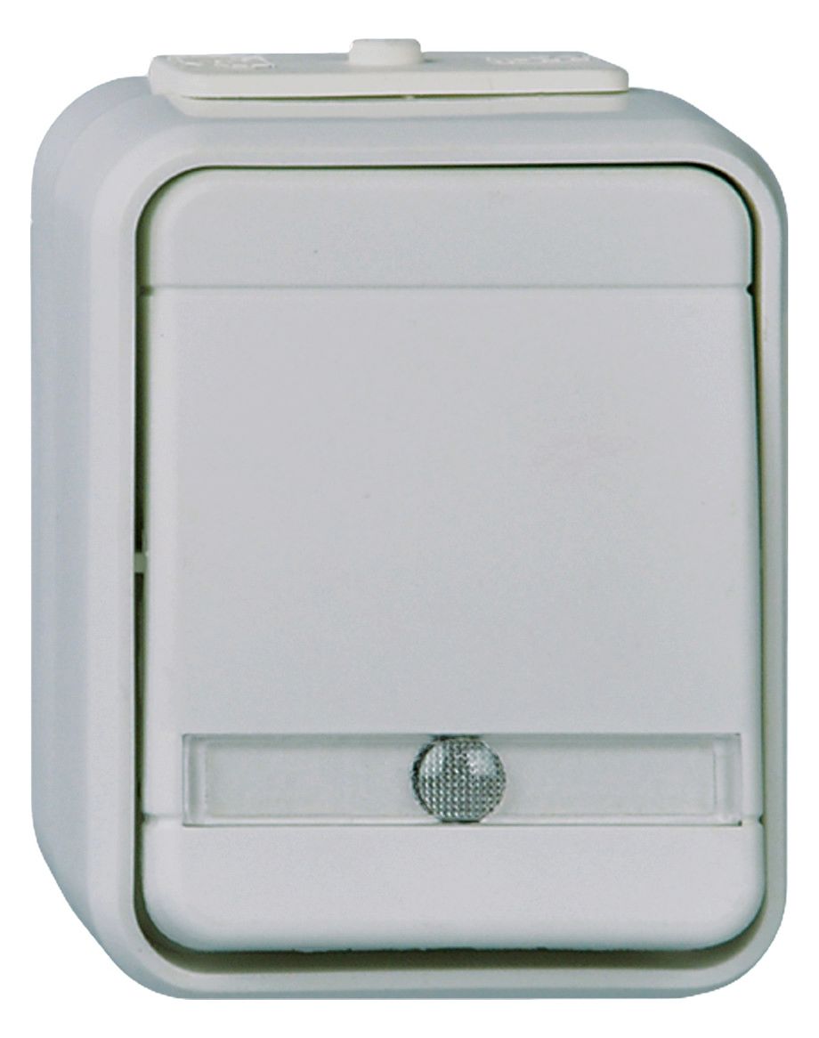 Elso ELG442619 Taster beleuchtet separatem N-Leit 10A AquaTop basaltgrau