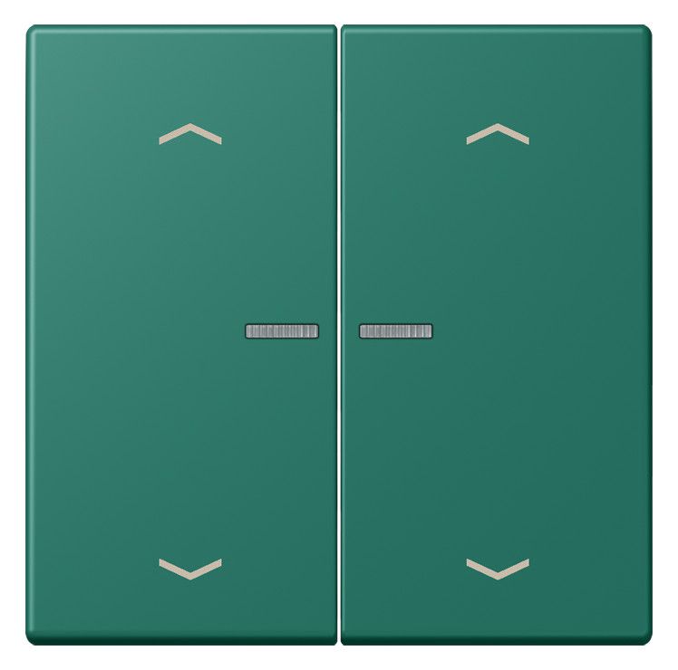 Jung LC102KO5P216 Wippe m.Lichtleiter u. Pfeilsymbolen