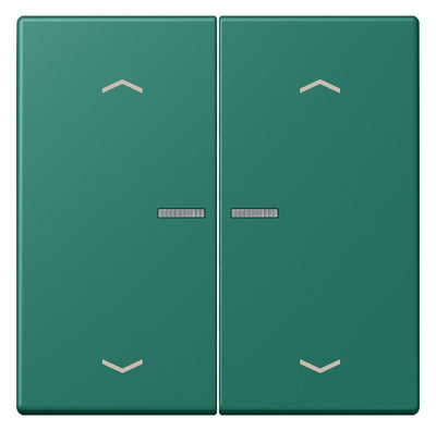 Jung LC102KO5P216 Wippe m.Lichtleiter u. Pfeilsymbolen