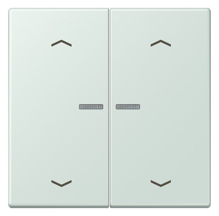 Jung LC102KO5P215 Wippe m.Lichtleiter u. Pfeilsymbolen