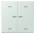 Jung LC102KO5P215 Wippe m.Lichtleiter u. Pfeilsymbolen