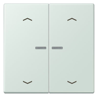 Jung LC102KO5P215 Wippe m.Lichtleiter u. Pfeilsymbolen