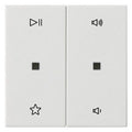GIRA 538403 Wippe 2fach Audiosteuerung System 55 Reinweiß glänzend
