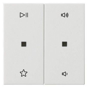 GIRA 538403 Wippe 2fach Audiosteuerung System 55 Reinweiß glänzend