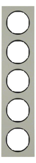 Berker 10152204 Rahmen 5fach R.3 Edelstahl/schwarz