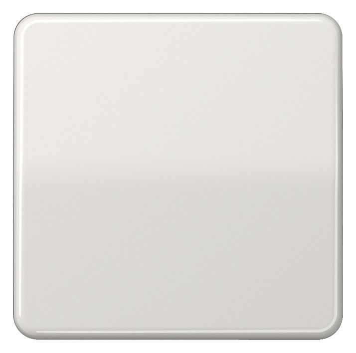 Jung CD101LG Wippe f.Taster